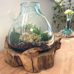 Aquário Grande de Vidro Molton - 32 cm