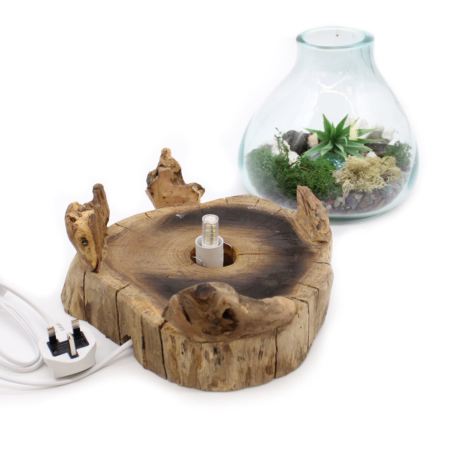 Aquário Grande de Vidro Molton - 32 cm