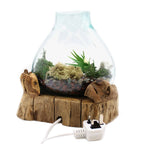 Aquário Grande de Vidro Molton - 32 cm