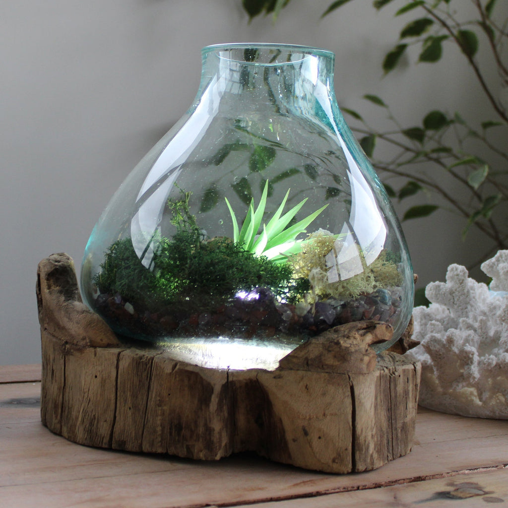 Aquário Grande de Vidro Molton - 32 cm
