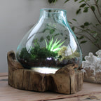 Aquário Grande de Vidro Molton - 32 cm