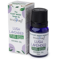 Óleo aromático à base de plantas - Lavanda Exuberante